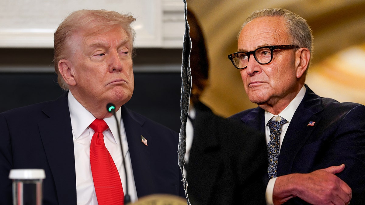 Trump and Schumer race to avert another government shutdown. Image Credit: Anna Moneymaker/Getty Images; Elizabeth Frantz/Reuters