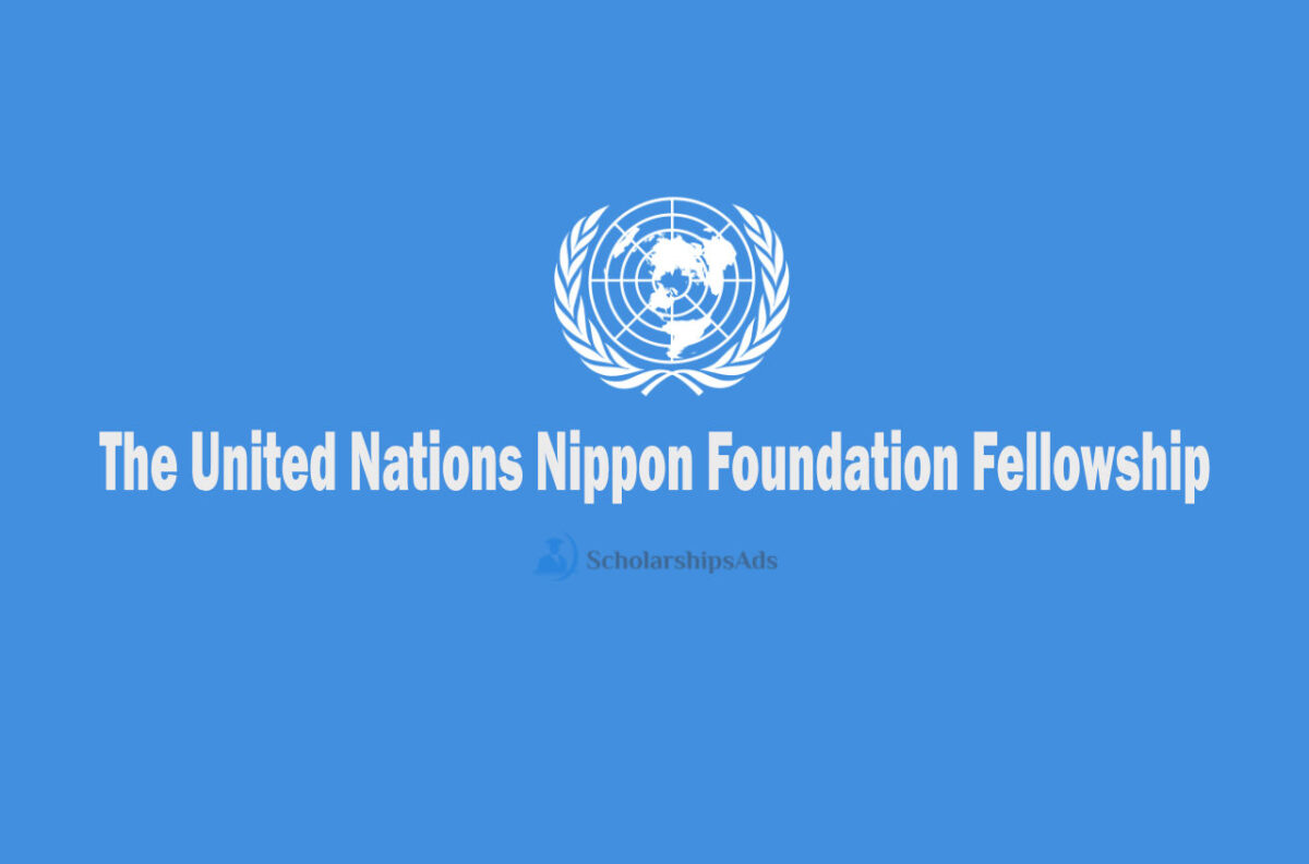  United Nations Nippon Foundation Fellowship 2026: How to Apply for the fully funded 9-Month Program