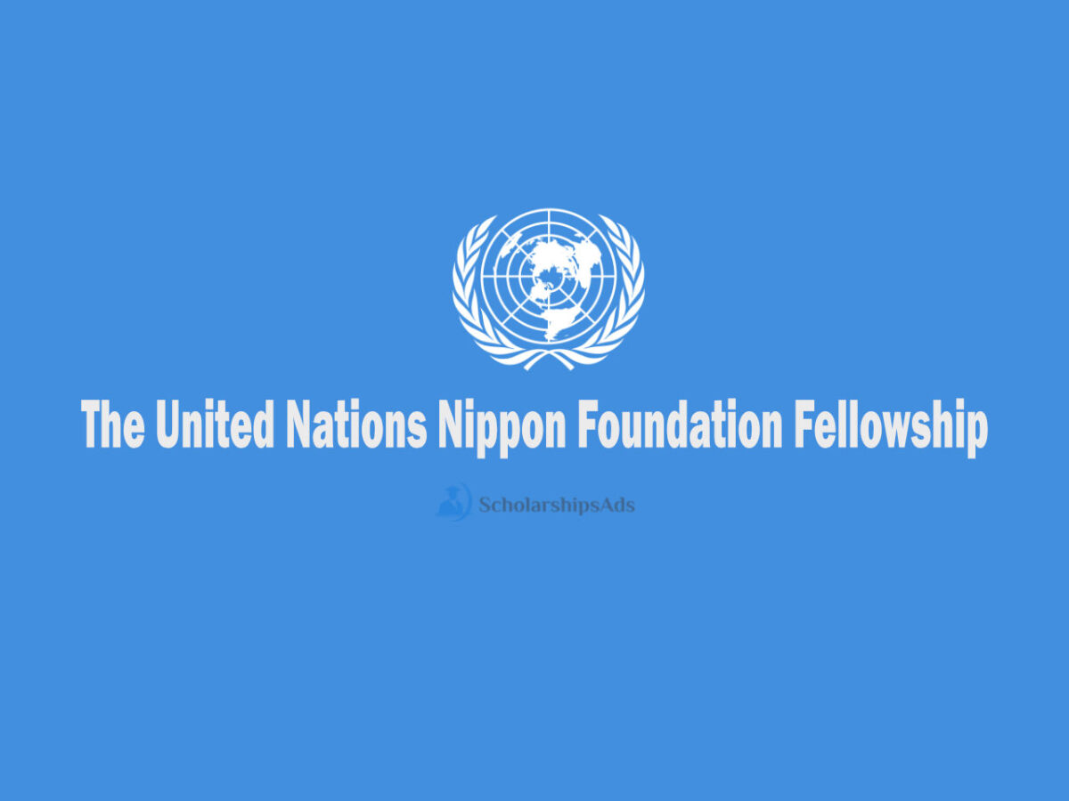 UN Nippon Foundation Fellowship 2026 fully funded program