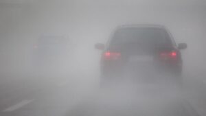 Dense fog reduces visibility across Tampa Bay region. Image Credit: Getty Images 