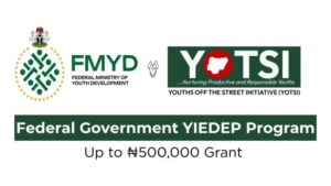 FG YIEDEP portal opens with ₦500,000 grant opportunity
