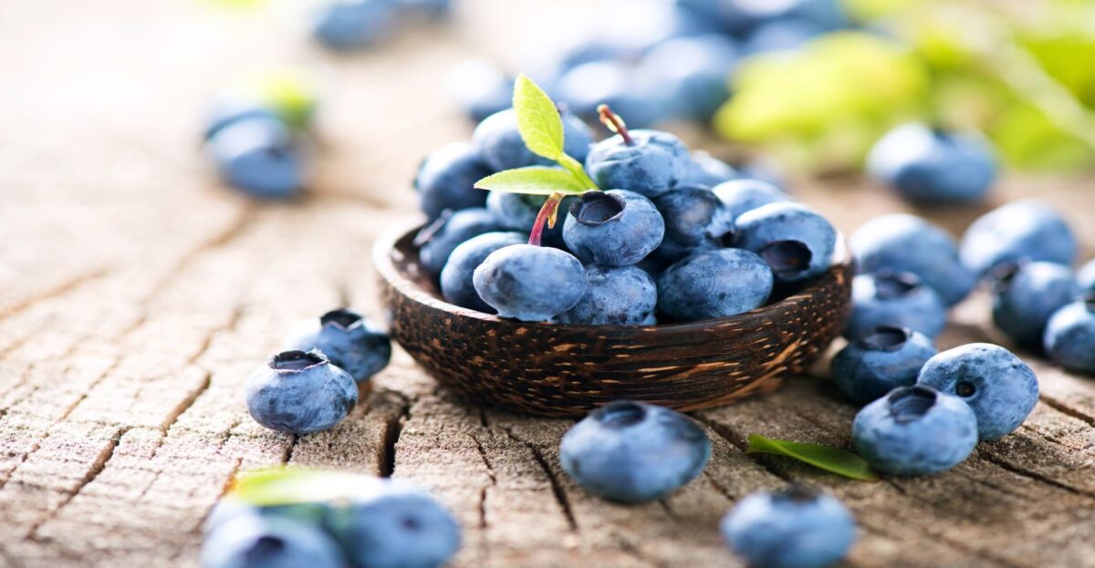 10 foods that help improve focus and concentration