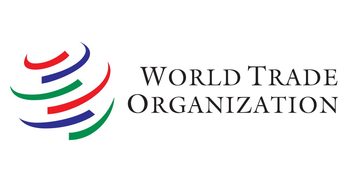  WTO Internship Program 2027: Apply and get CHF 1,800 monthly stipend