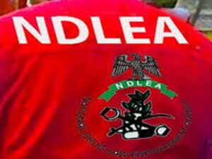 NDLEA faces scrutiny after woman dies during Edo court hearing