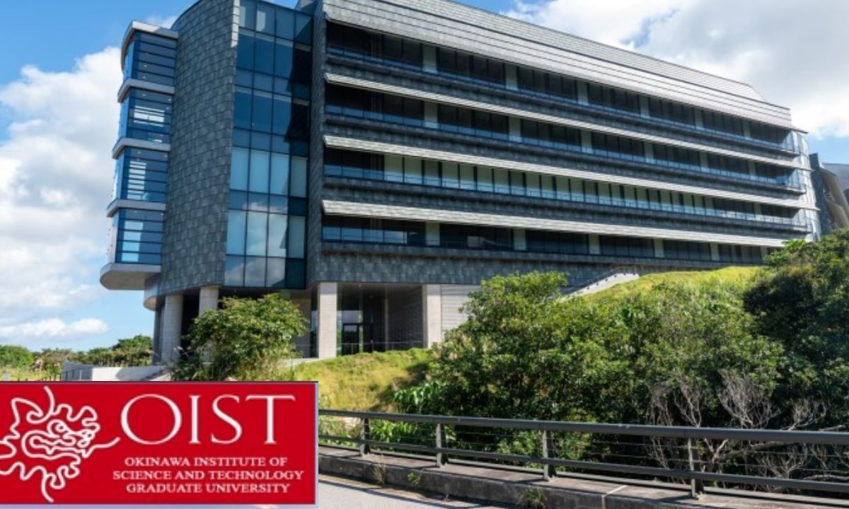  OIST Internship Program in Japan 2026: Apply and Earn ₦2M+ Monthly Stipend, Free Flight & Housing
