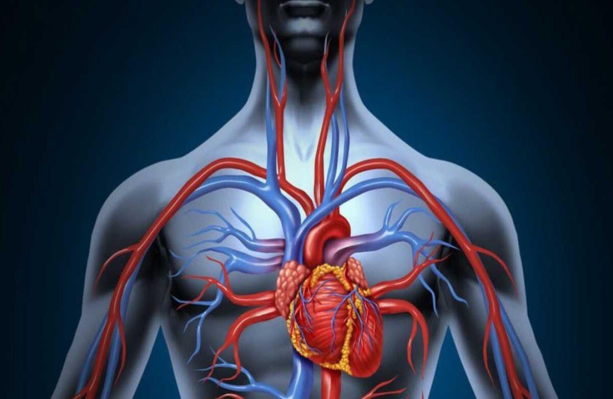  8 Easy Ways to Improve Blood Circulation Without Intense Exercise