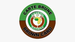 ECOWAS Brown Card scheme takes centre stage at 2026 Lagos talks