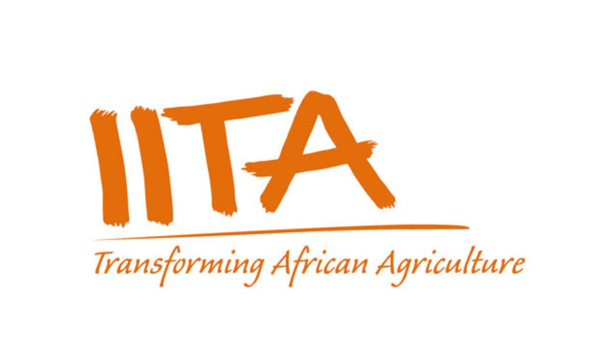IITA launches 2026 internship program for Nigerian graduates