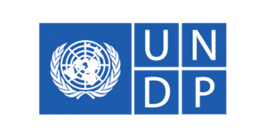 UNDP digital transformation internship 2026 now open globally