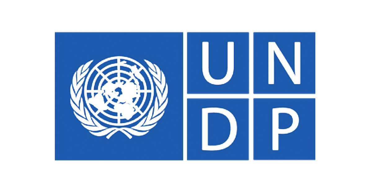  UNDP Digital Transformation Internship 2026: Apply and Earn $500 Monthly
