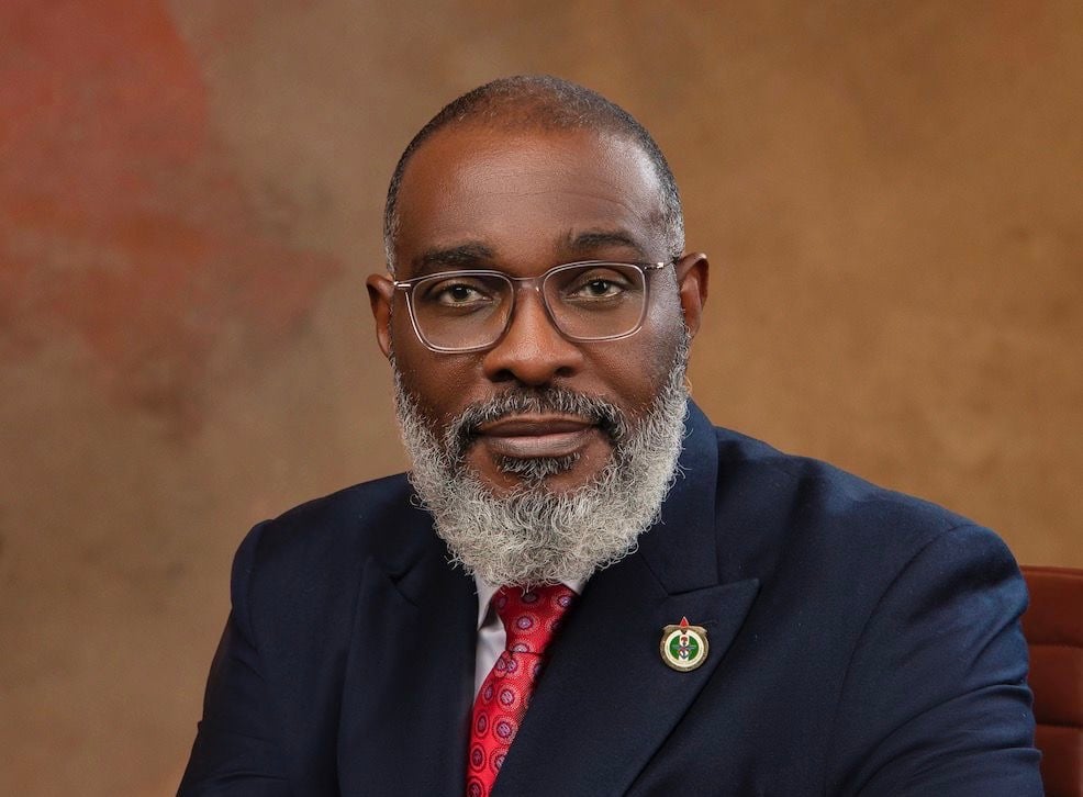 Retired Major General Adeyinka Fadewa appointed as Homeland Security Adviser by President Tinubu