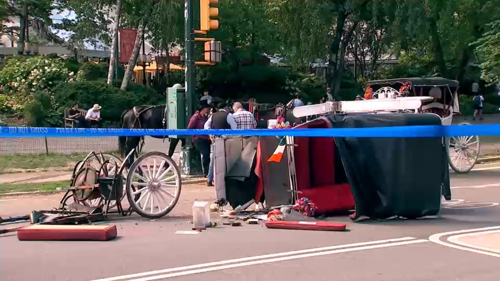 Romanch Mahajan died after a Central Park carriage crash. Image Credit: 24/7 Live 