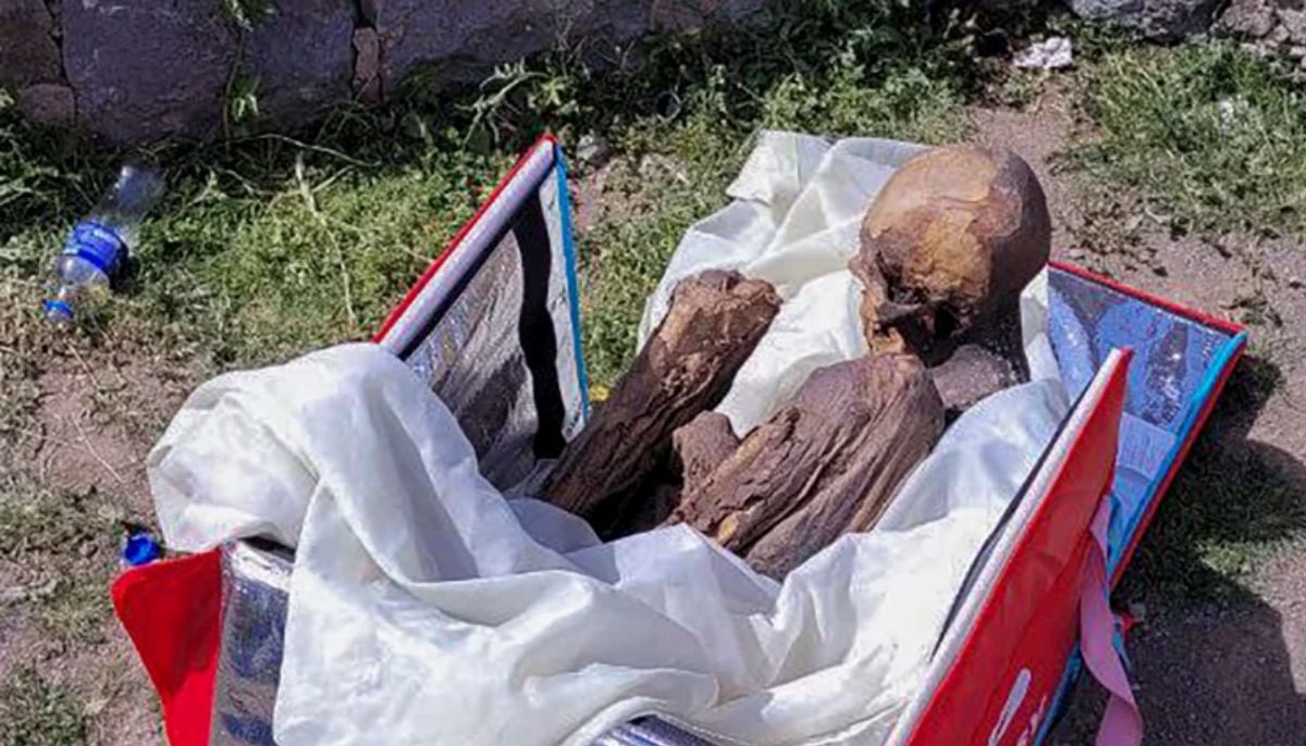 26-year sleeping bag mystery solved through DNA breakthrough. Image Credit: Geo News
