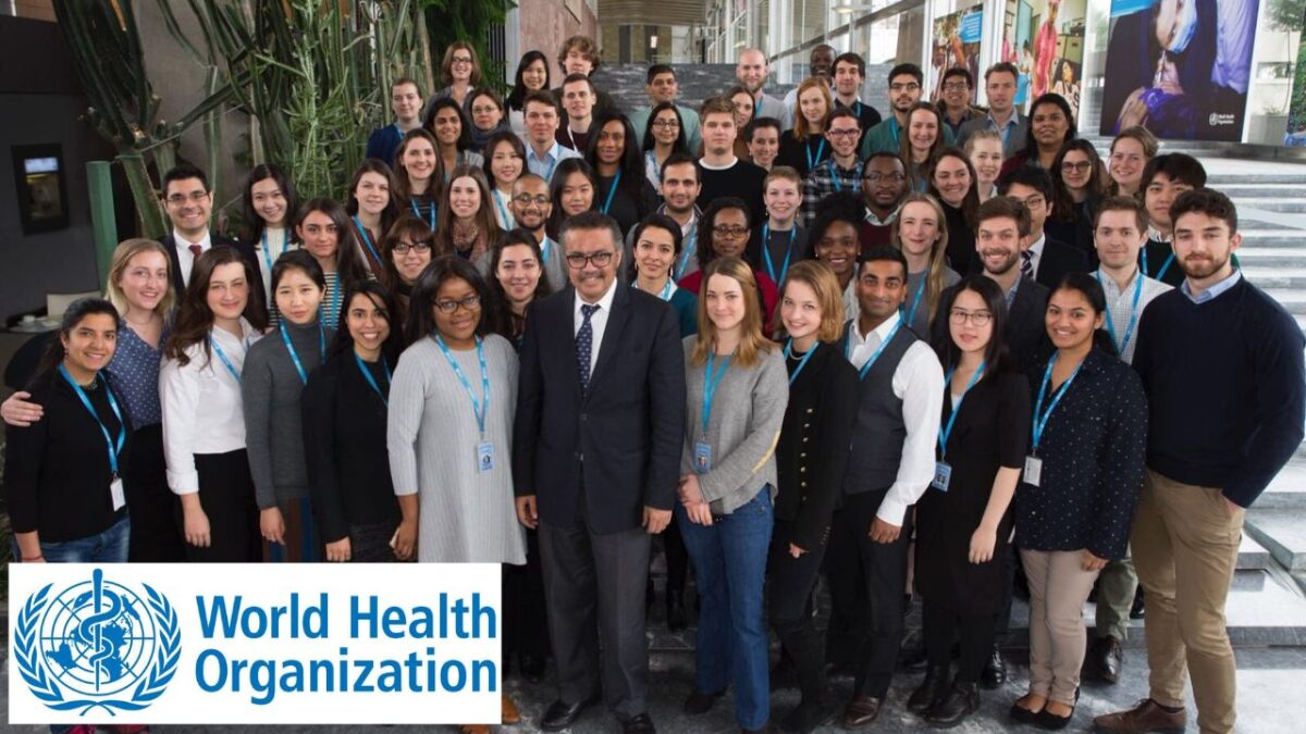 Young professionals and students participate in a WHO internship programme