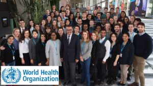 Young professionals and students participate in a WHO internship programme