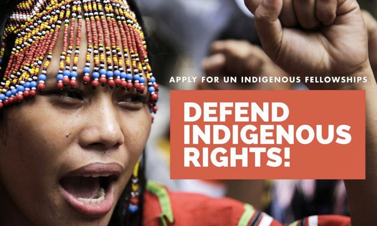  UN OHCHR Indigenous Fellowship Programme 2027: How to Apply