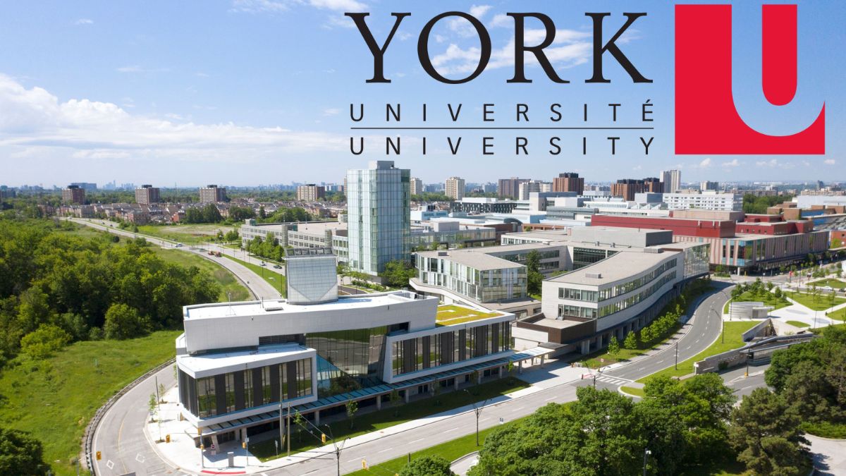 York University Presidential Scholarship 2027: Apply for $45,000 Per Year