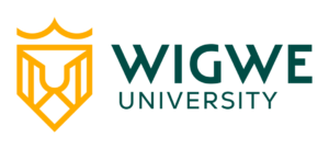 Nigerian students can apply for Wigwe University 2026 merit tuition scholarship