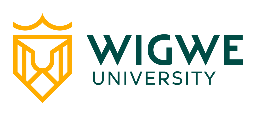 Nigerian students can apply for Wigwe University 2026 merit tuition scholarship