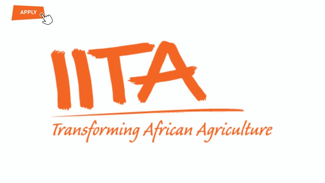 IITA is recruiting Helpdesk Officers across 10 Nigerian locations.
