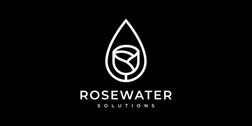 RoseWater Partners Graduate Trainee 2026