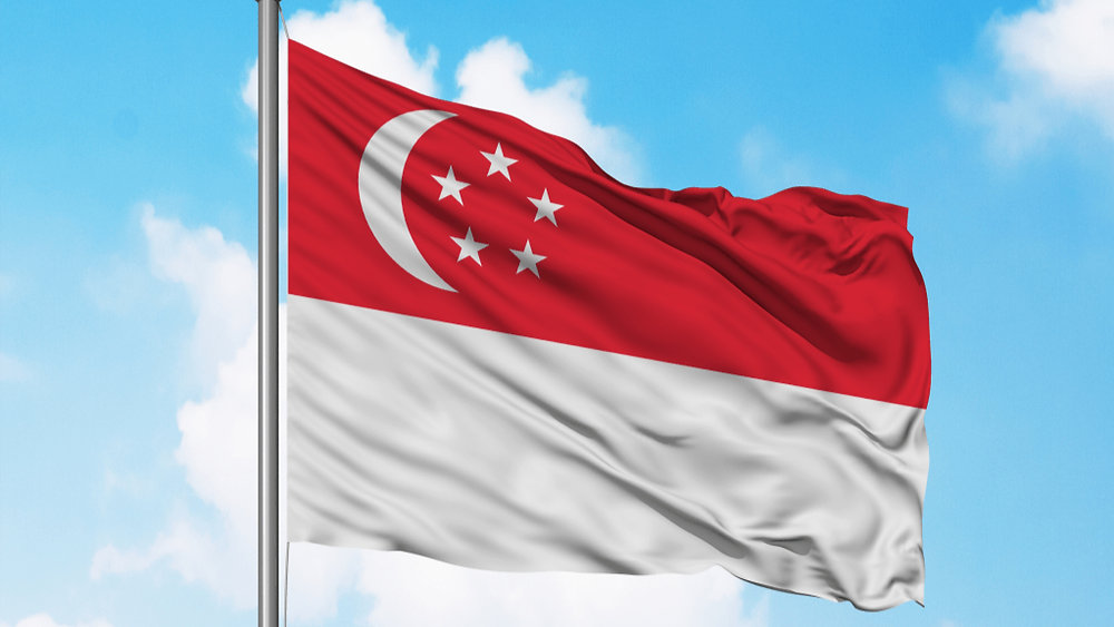 Singapore work visa