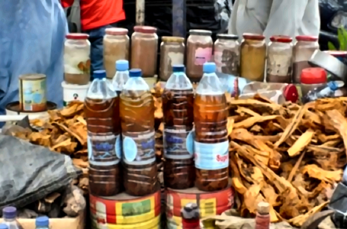  What is Monkey Tail? What to know about local drink that killed 49 in Ondo