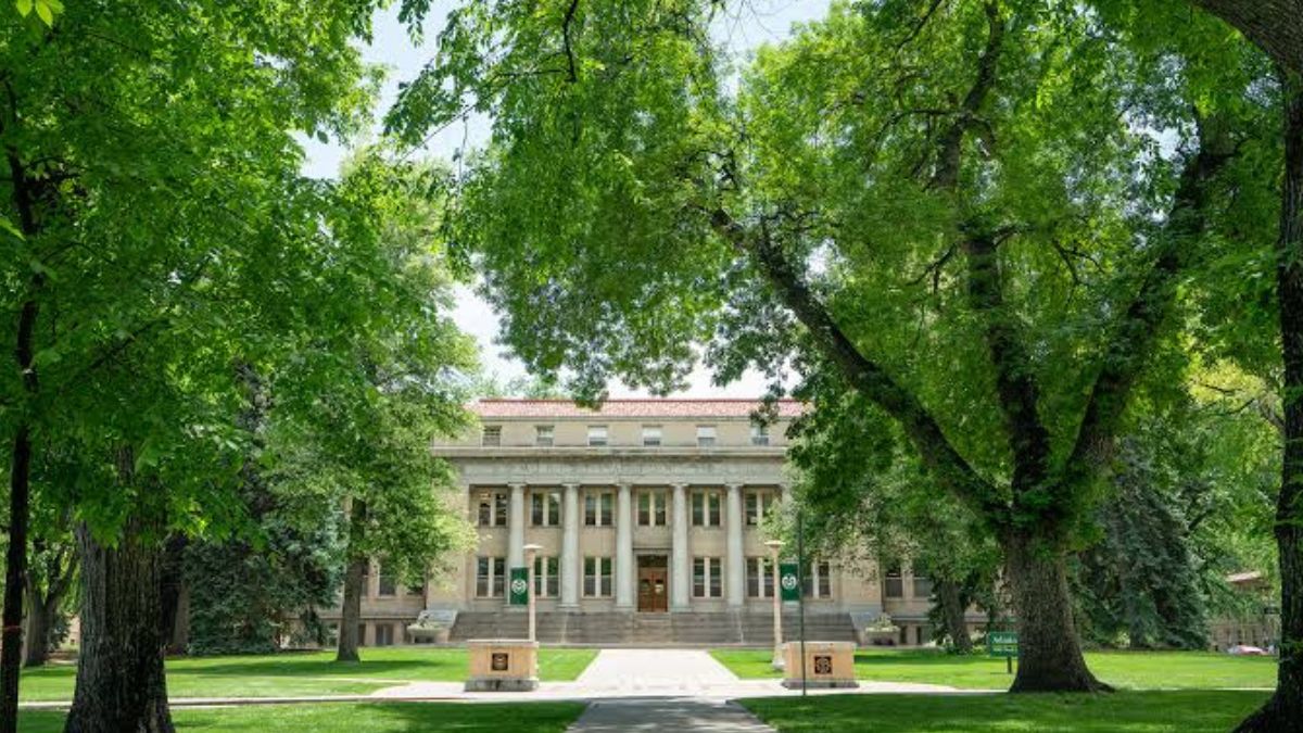  Colorado State University Scholarships 2027: How to Apply
