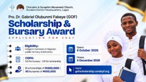 Gabriel Olubunmi Fakeye Scholarship 2027