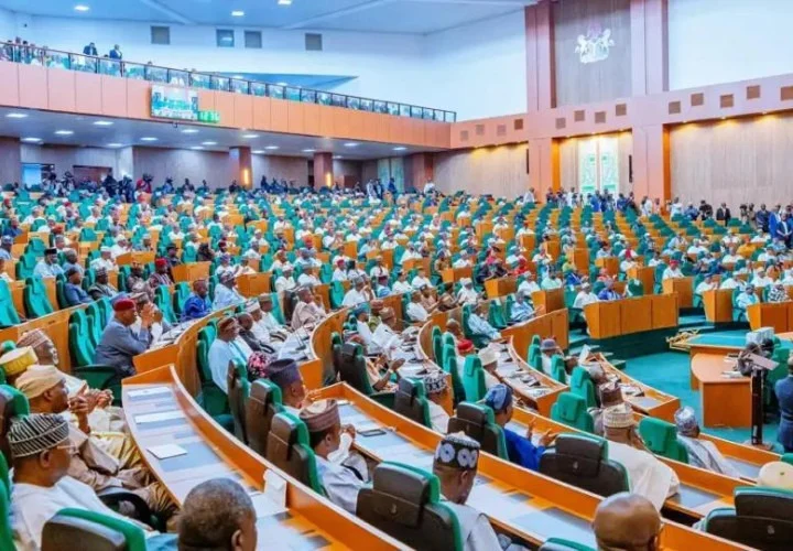  N100bn FCT council queries: What Reps are demanding answers on