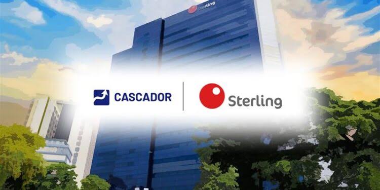  Cascador, Sterling Bank Fund: Eligibility and How Nigerian Businesses Can Apply