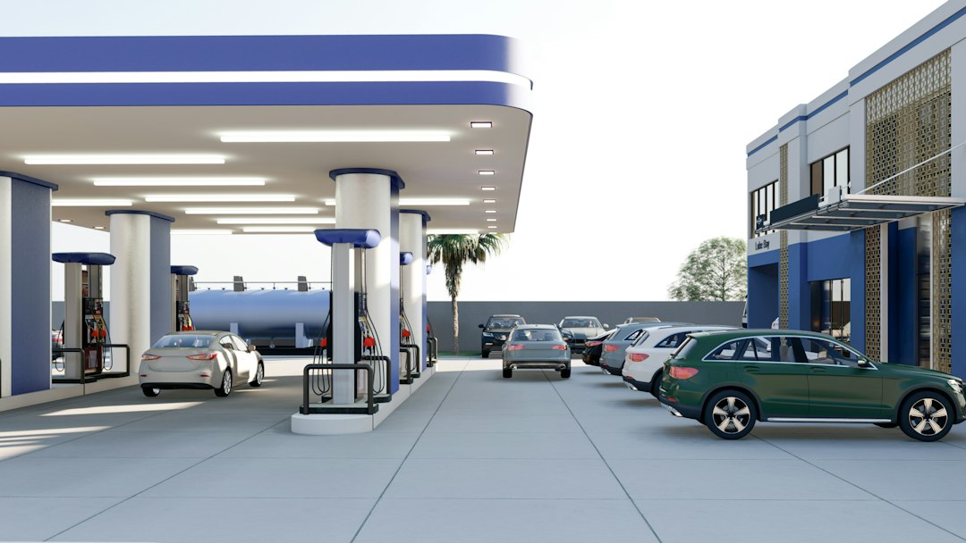 Petrol pumps at a filling station; illustrative image, not connected to the Senate committee review.