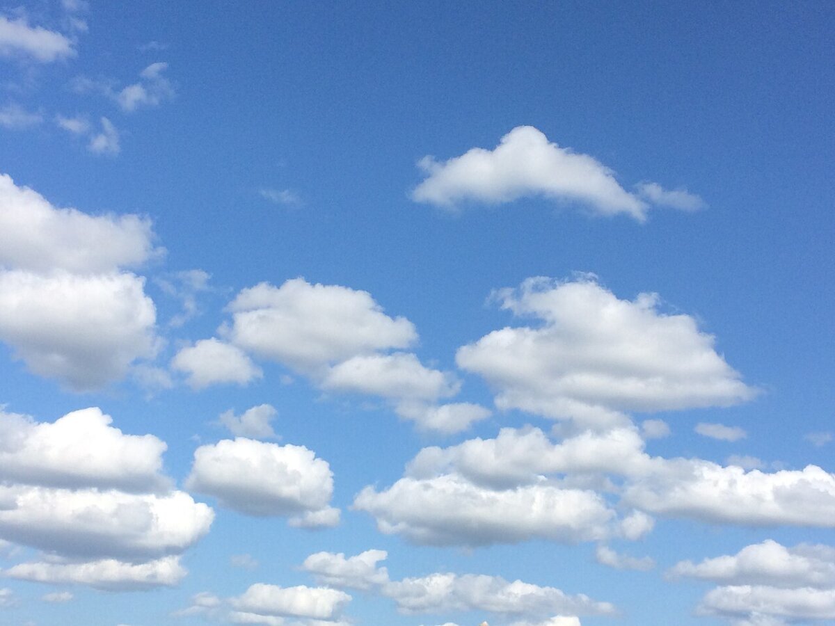 White cumulus clouds with grey undersides against a blue sky