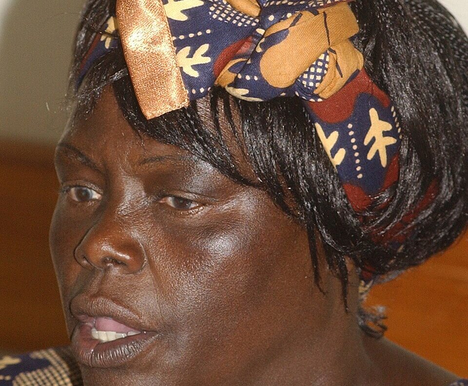  Wangari Maathai and why she won the Nobel Peace Prize