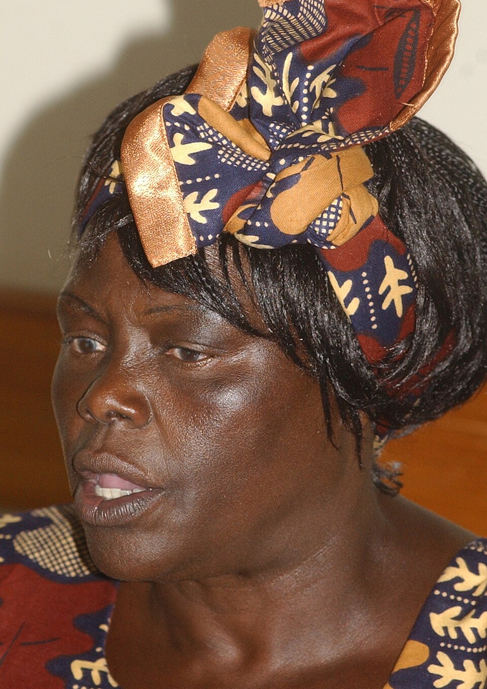 Wangari Maathai wearing a patterned headwrap in Salvador, Brazil, in 2006