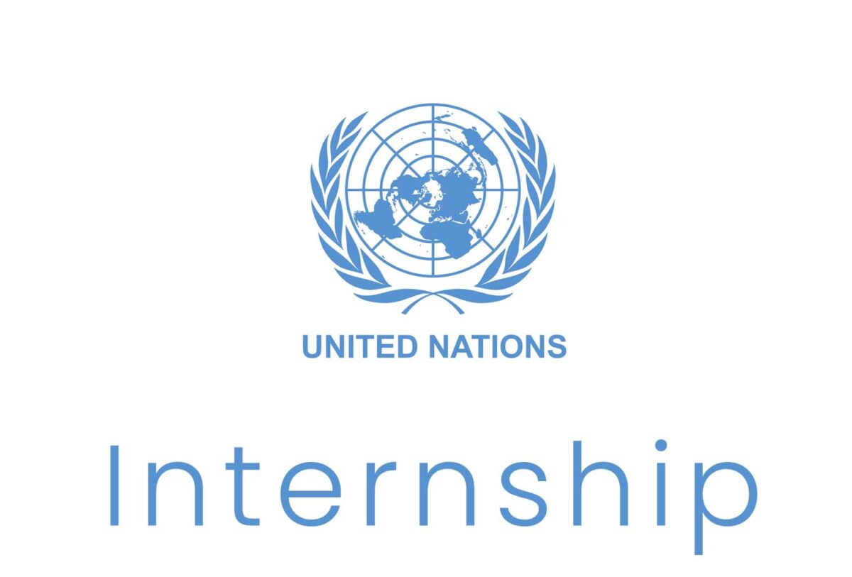 The United Nations University Junior Fellows Internship